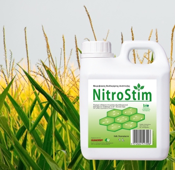 Application of Nitrostim in maize