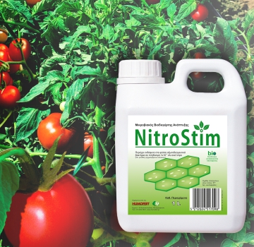 Application of Nitrostim in processing tomato