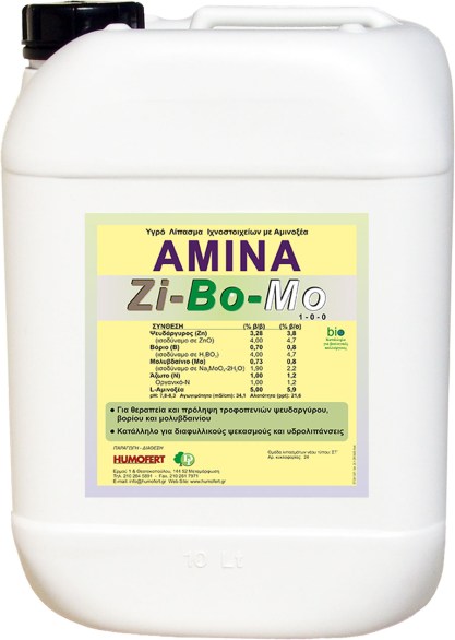 AMINA-ZIBOMO 10L