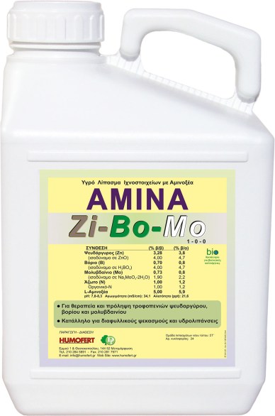 AMINA-ZIBOMO 5L
